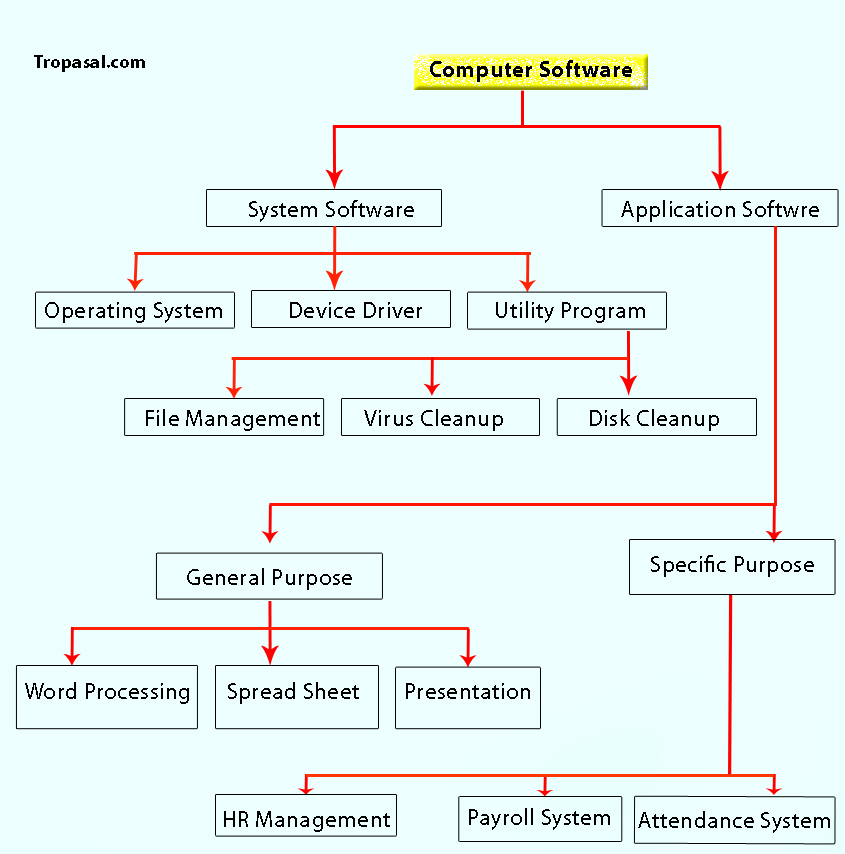 How Many Types Of Software Are There?